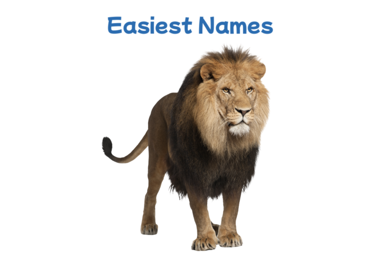 Lion Names