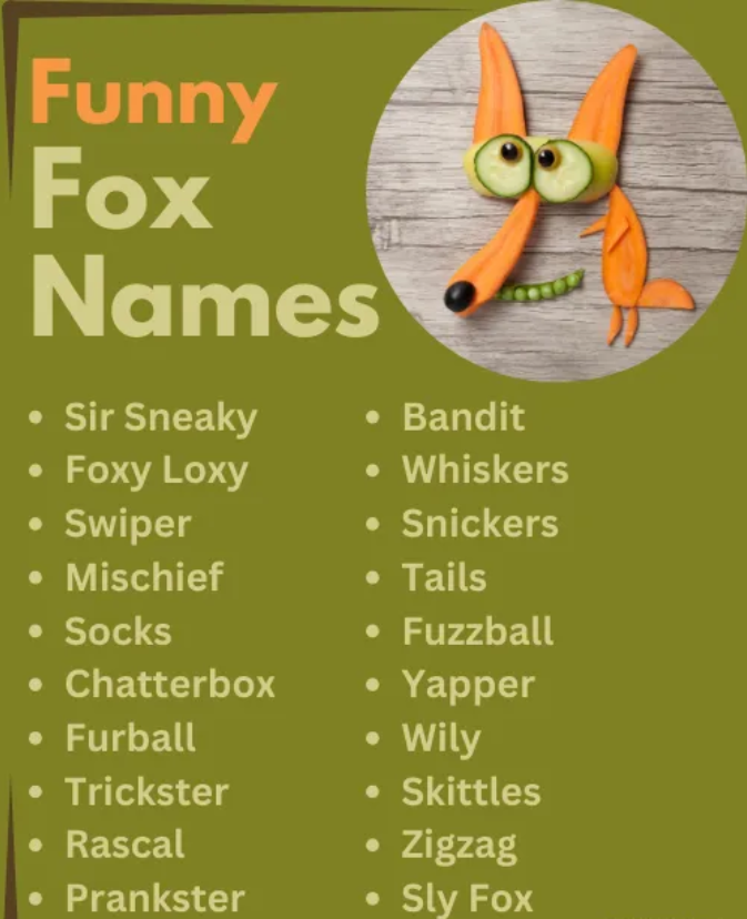 funny fox name