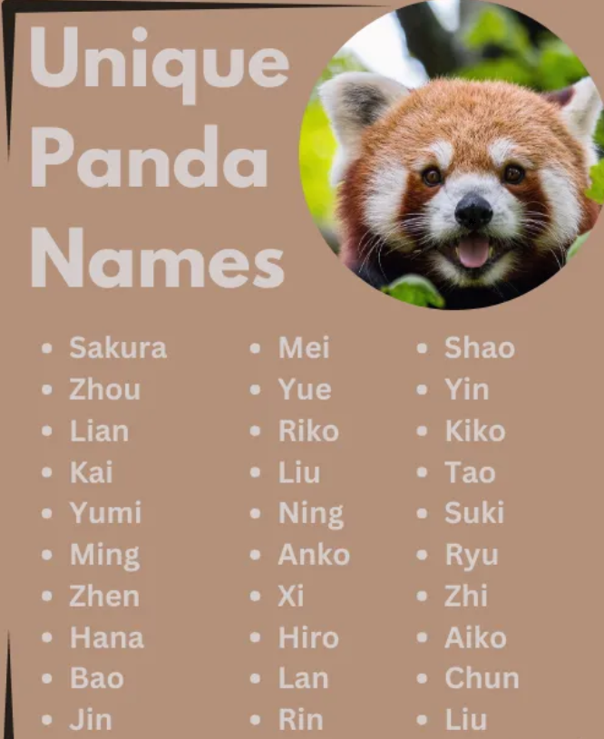 panda names