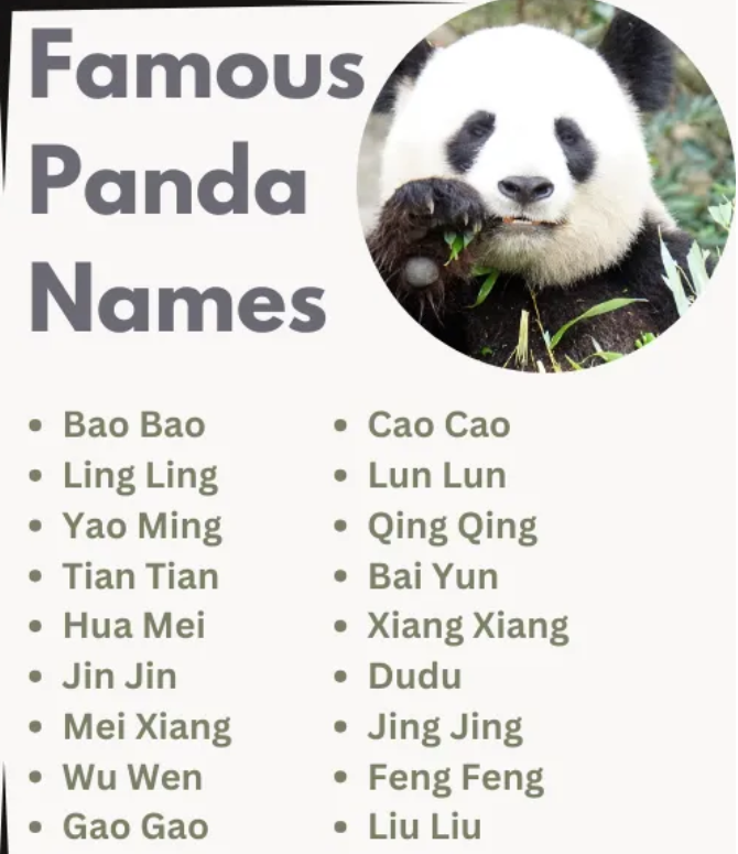 names for pandas