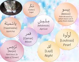 Muslim Cat Names